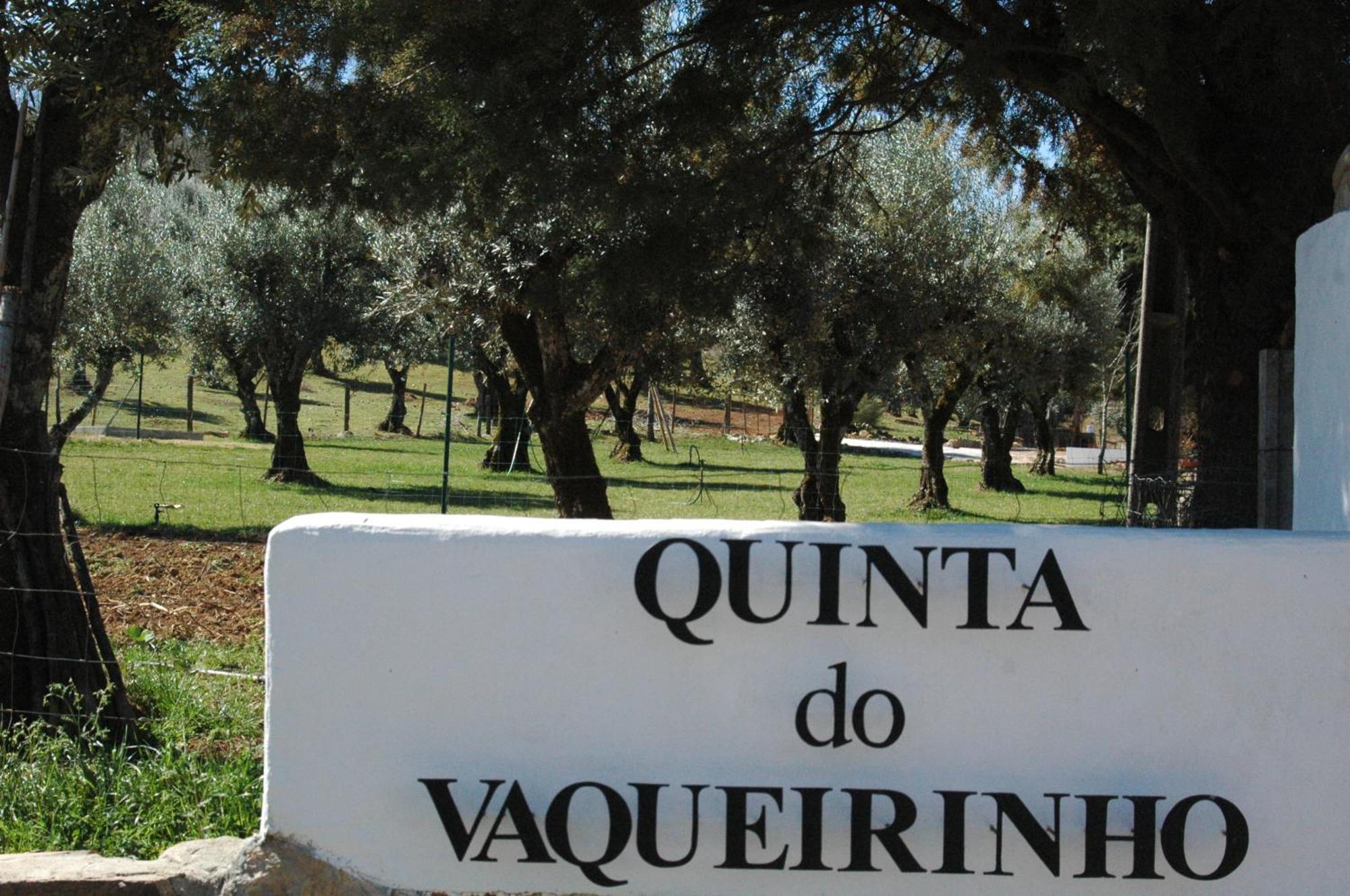 Вілла Quinta Do Vaqueirinho - Agro-Turismo Марван Екстер'єр фото