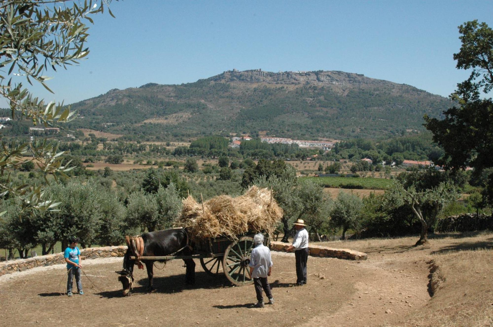 Вілла Quinta Do Vaqueirinho - Agro-Turismo Марван Екстер'єр фото