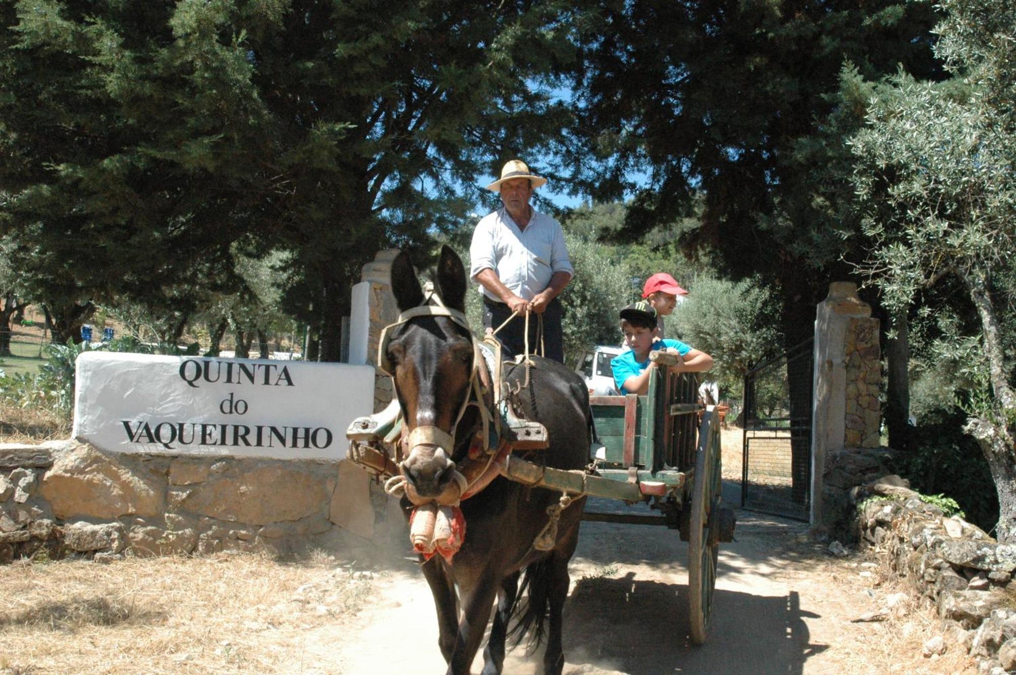 Вілла Quinta Do Vaqueirinho - Agro-Turismo Марван Екстер'єр фото