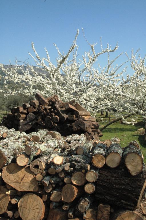 Вілла Quinta Do Vaqueirinho - Agro-Turismo Марван Екстер'єр фото