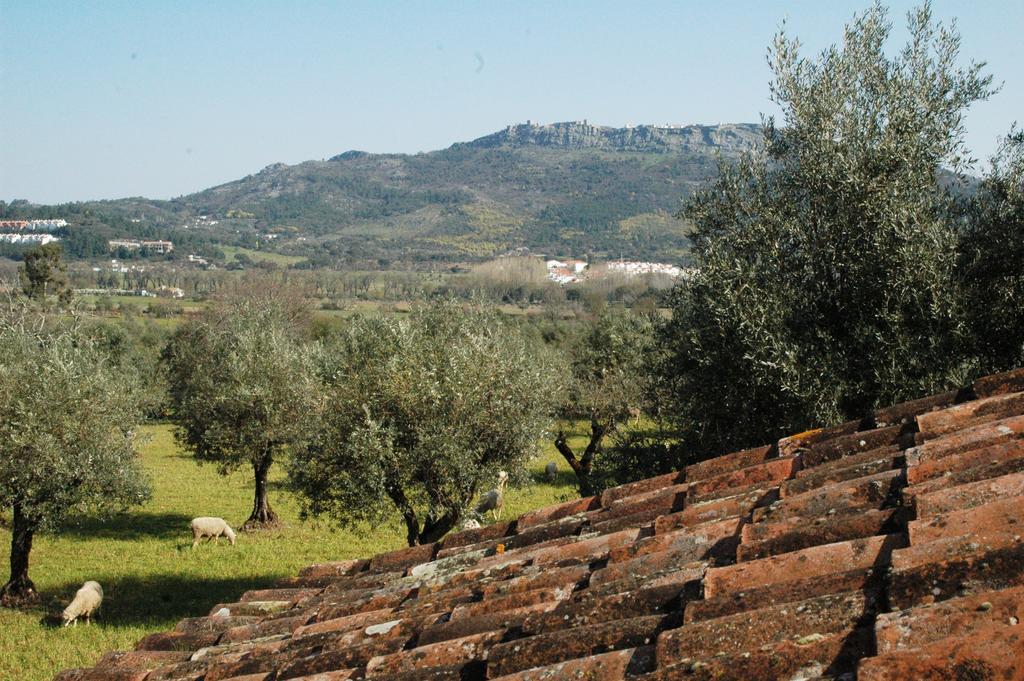 Вілла Quinta Do Vaqueirinho - Agro-Turismo Марван Номер фото